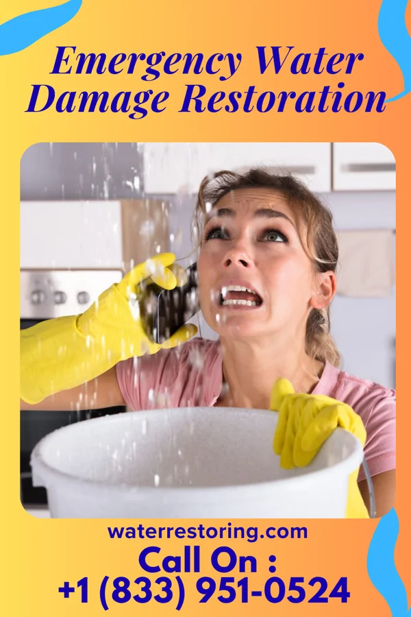 Emergency Water Damage Restoration in Mountain View, CO